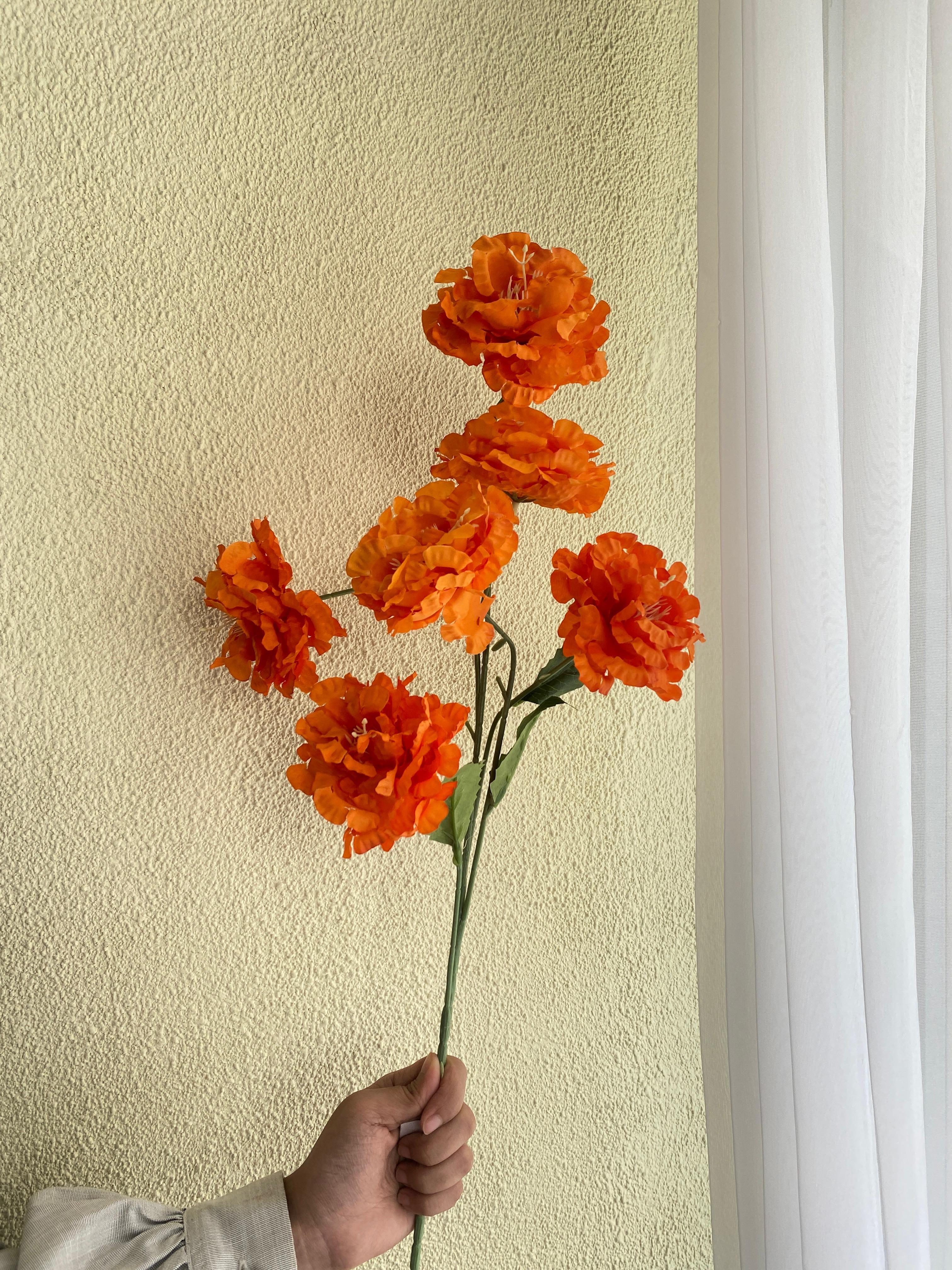 Peoni Cina Orange