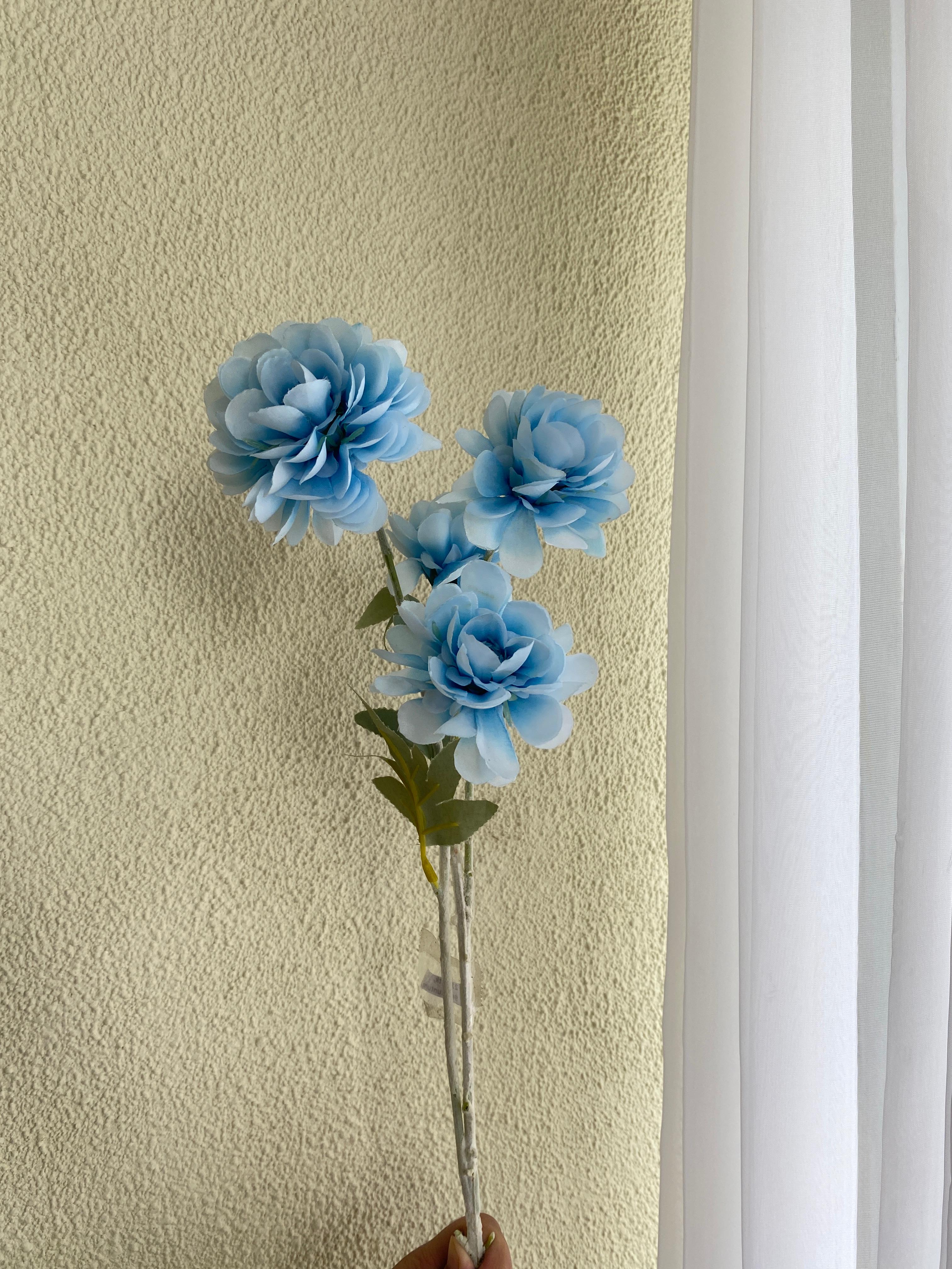 Camellia Biru