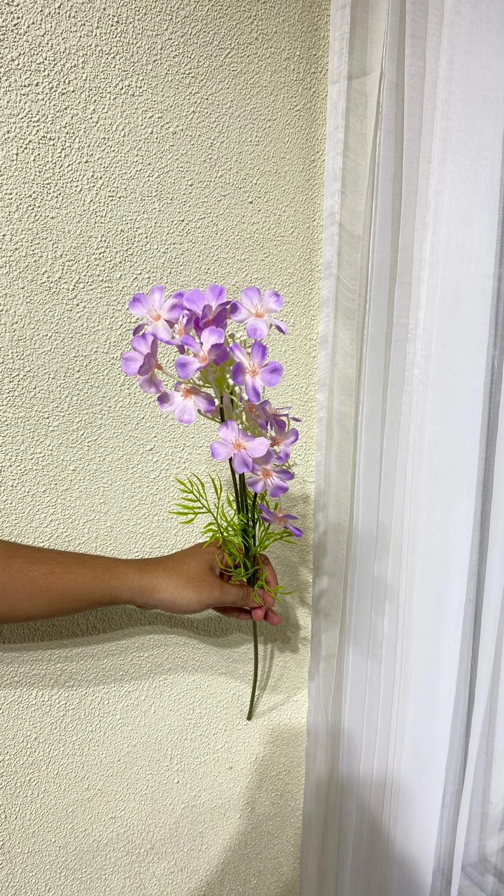 Aster Geranium Ungu Muda