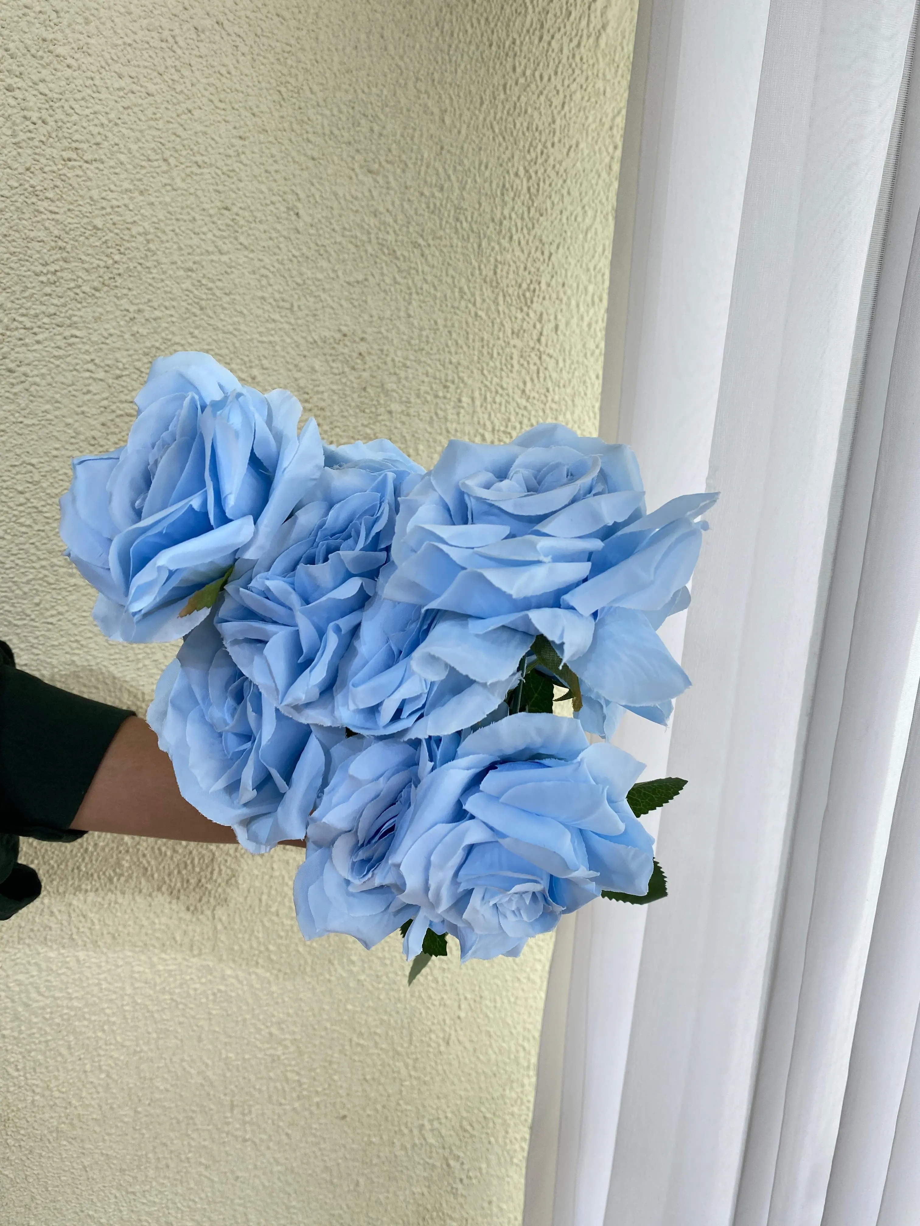 Mawar Diamond Blue Soft