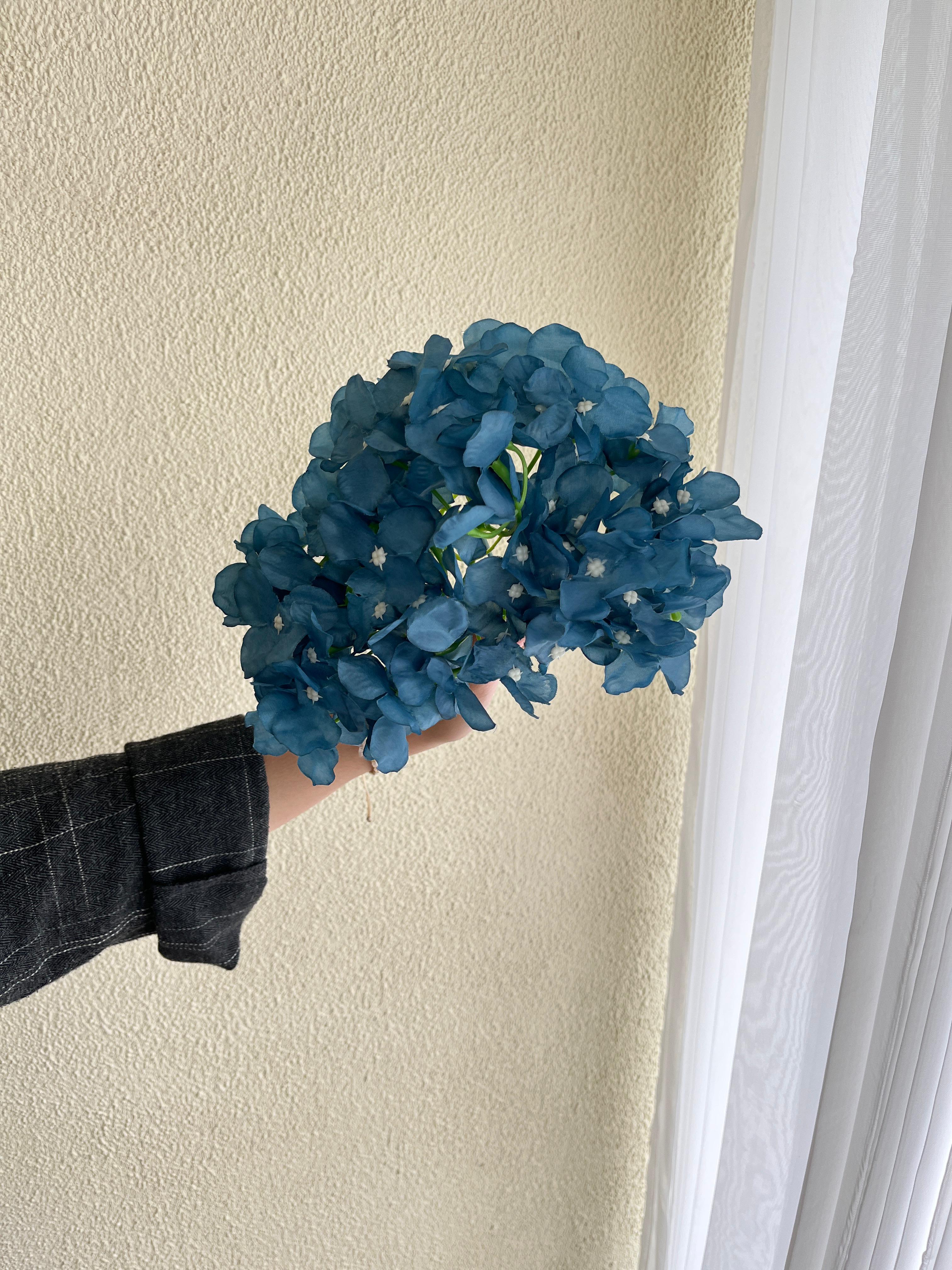 Hidrangea biru