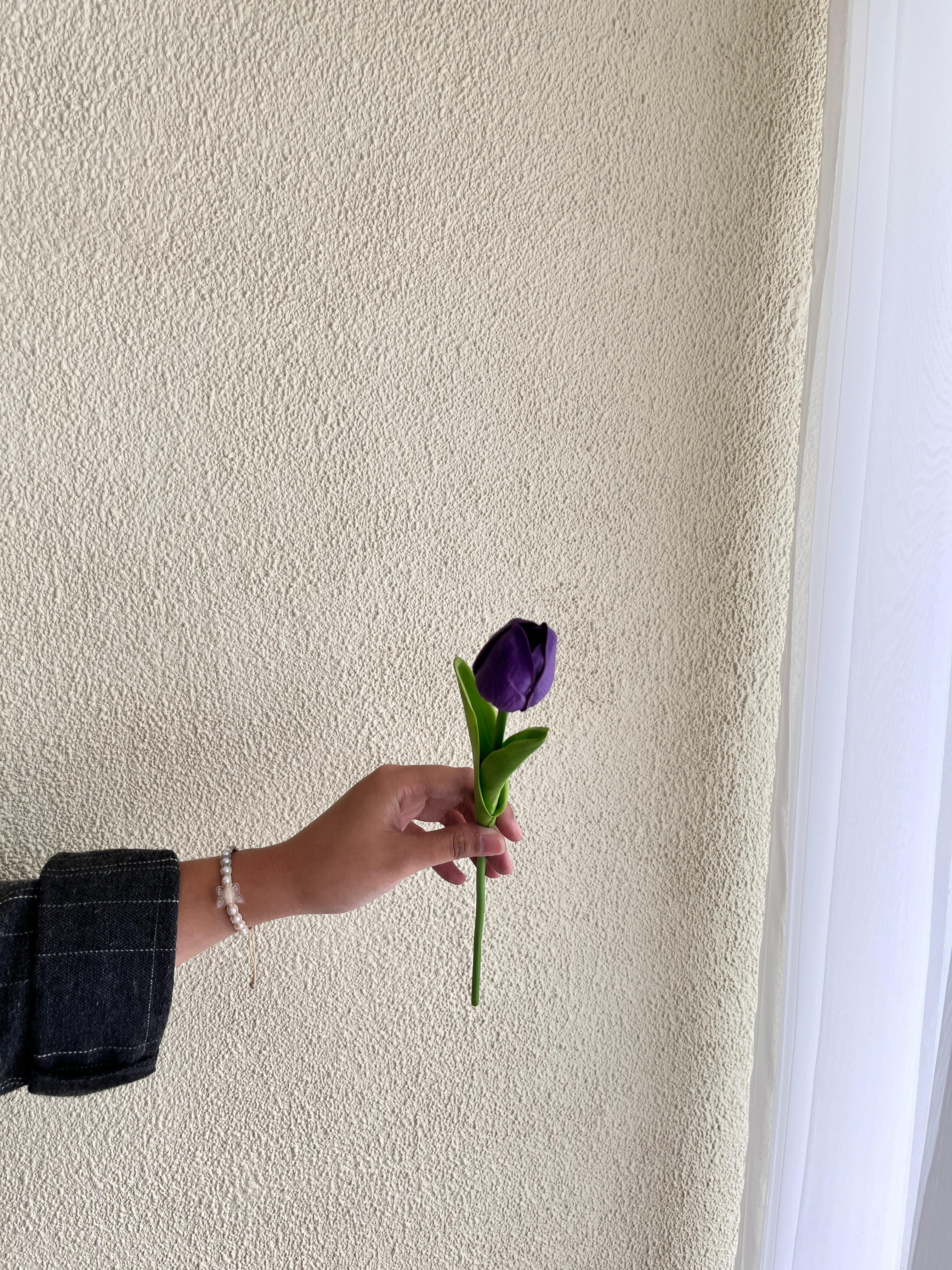 Tulip Ungu