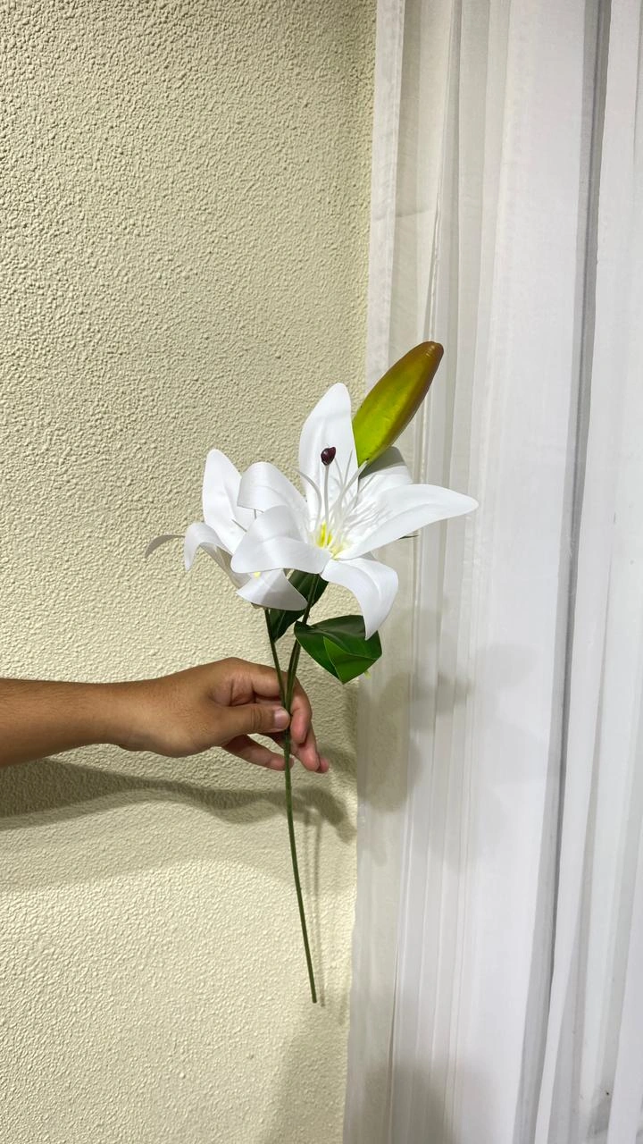 Cassablanca Lily 2tngkai Latex Putih