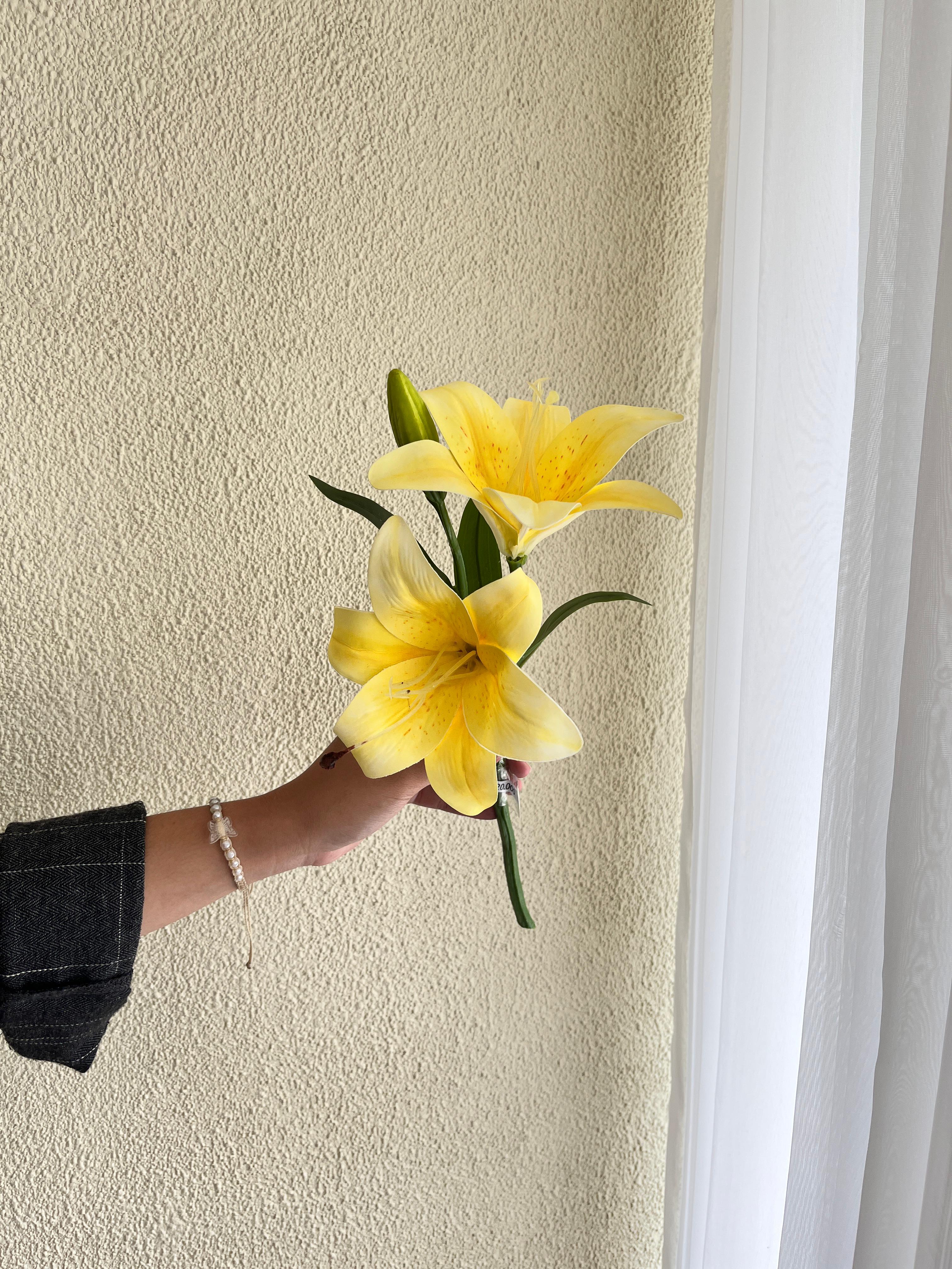 Cassablanca Lily Kuning