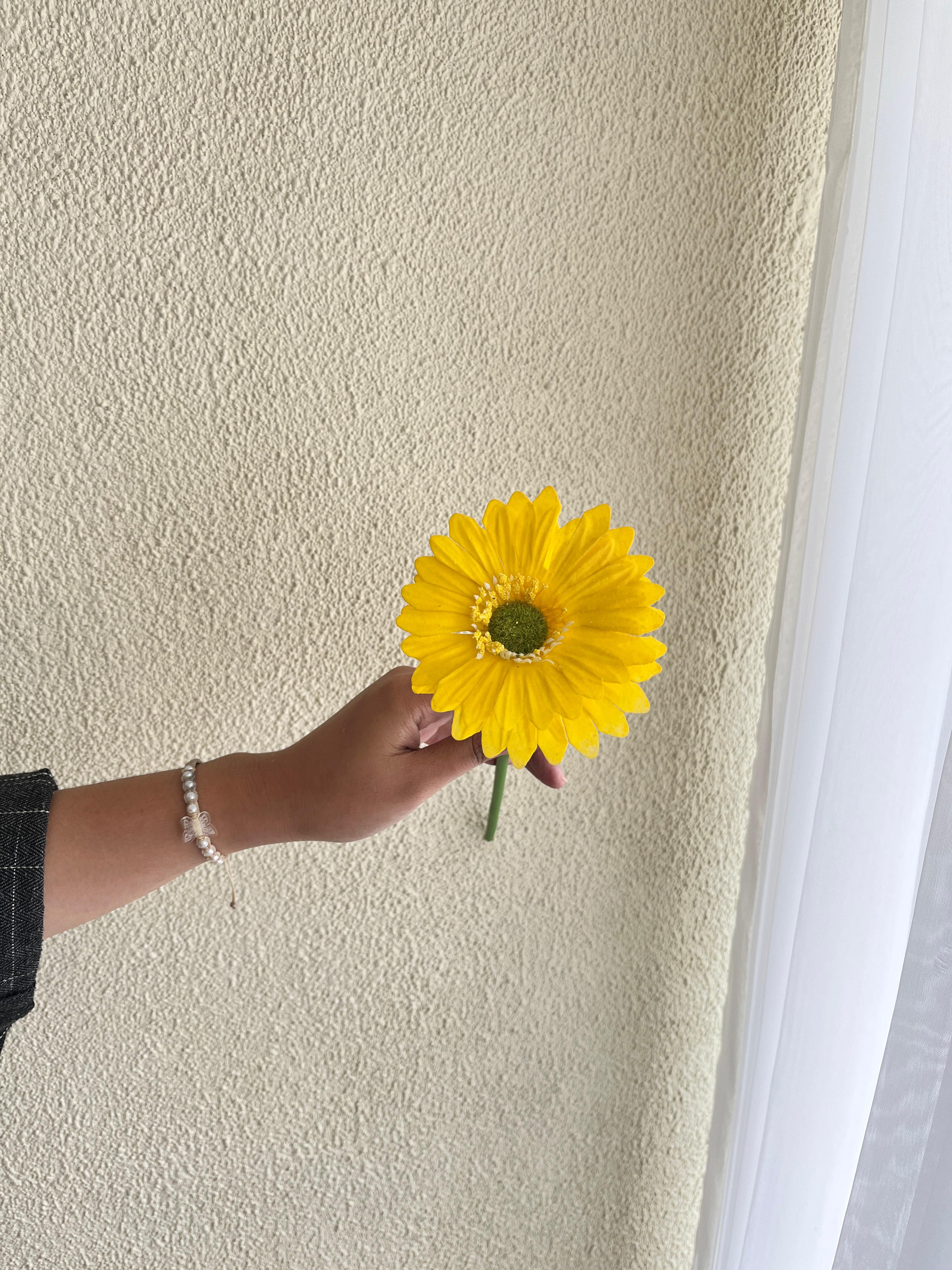 Gerbera Kuning
