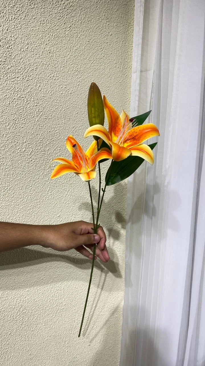 Cassablanca Lily 2tngkai Latex Orange