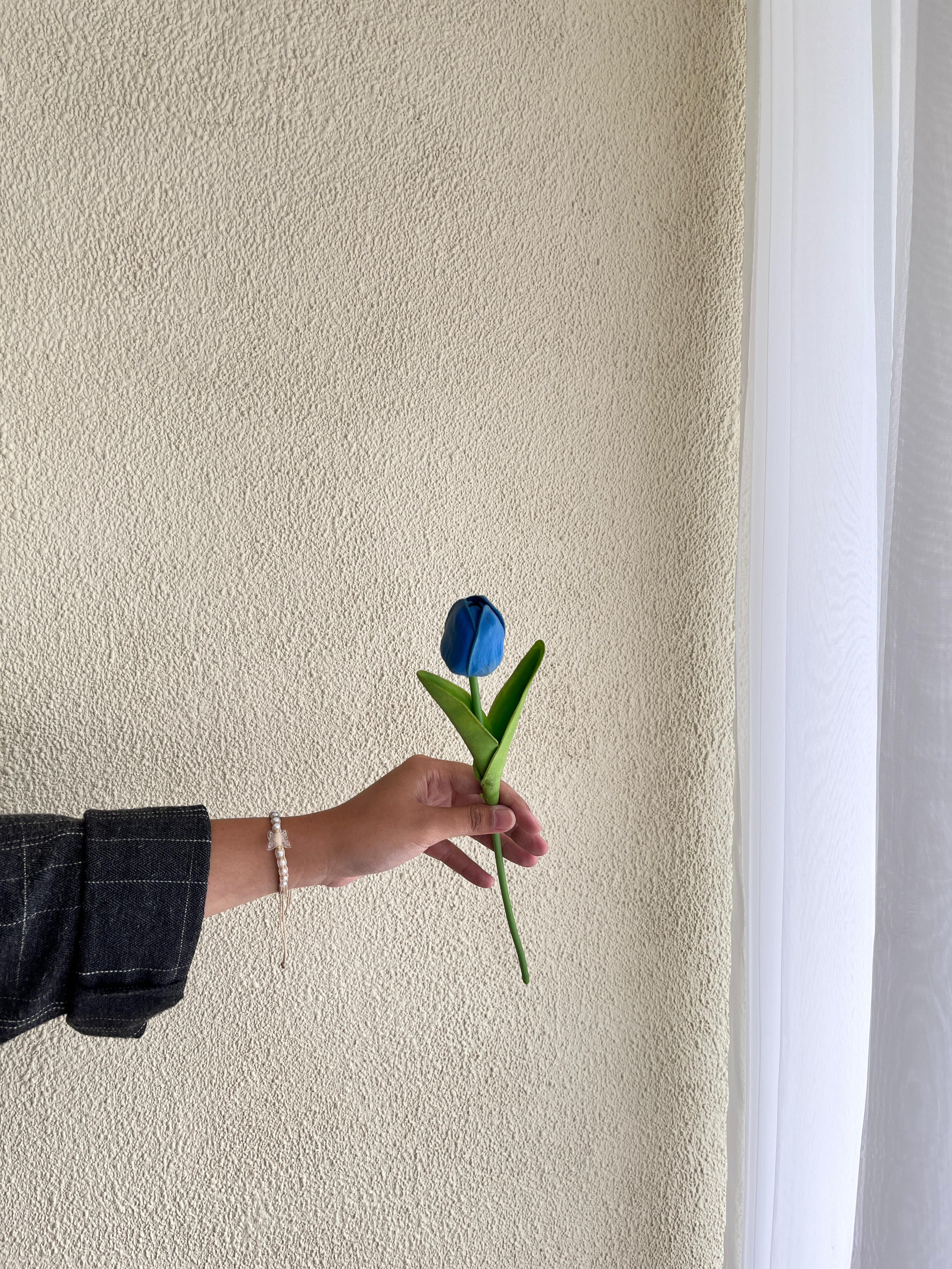 Tulip Biru