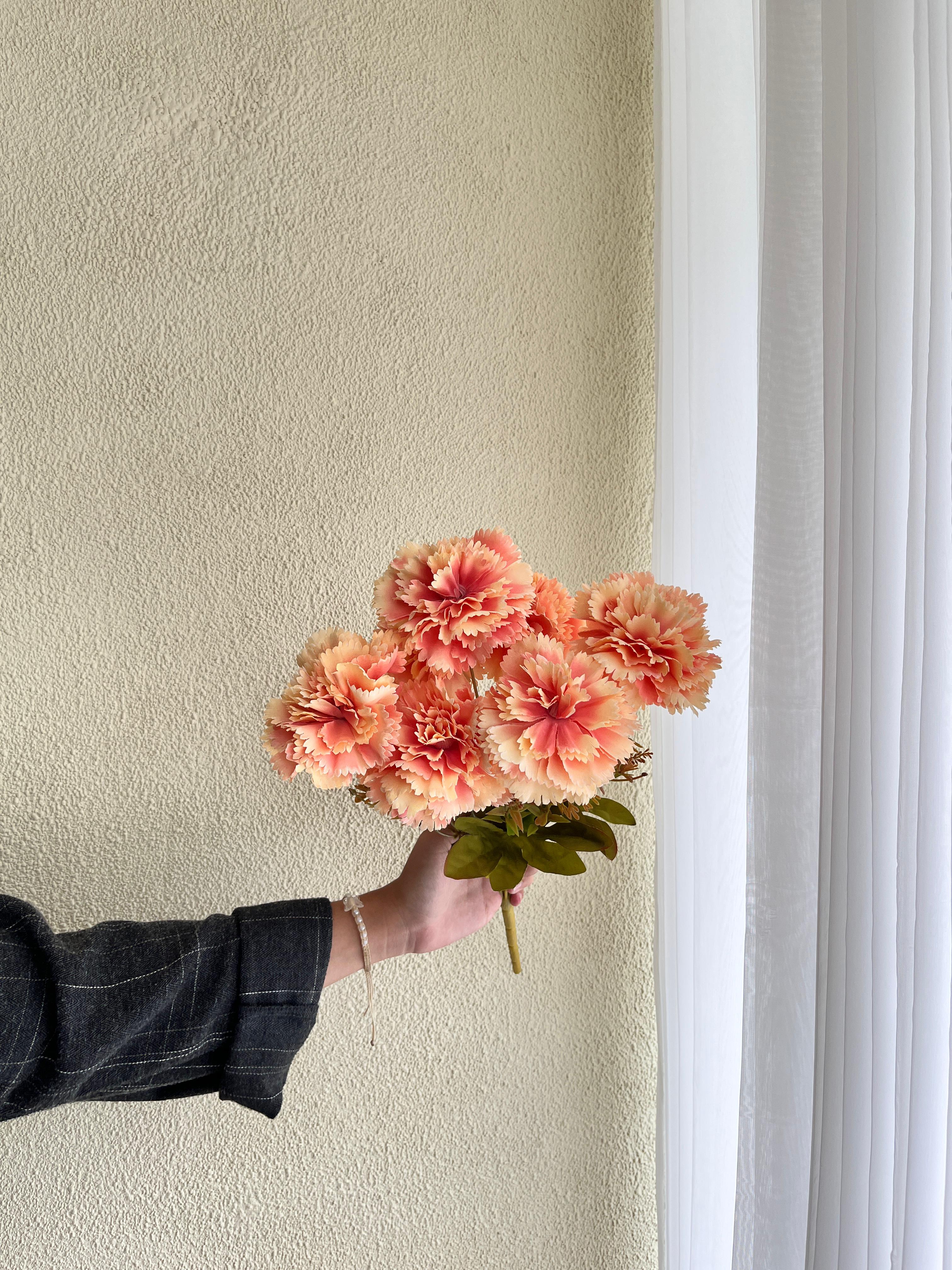 Carnation Pink