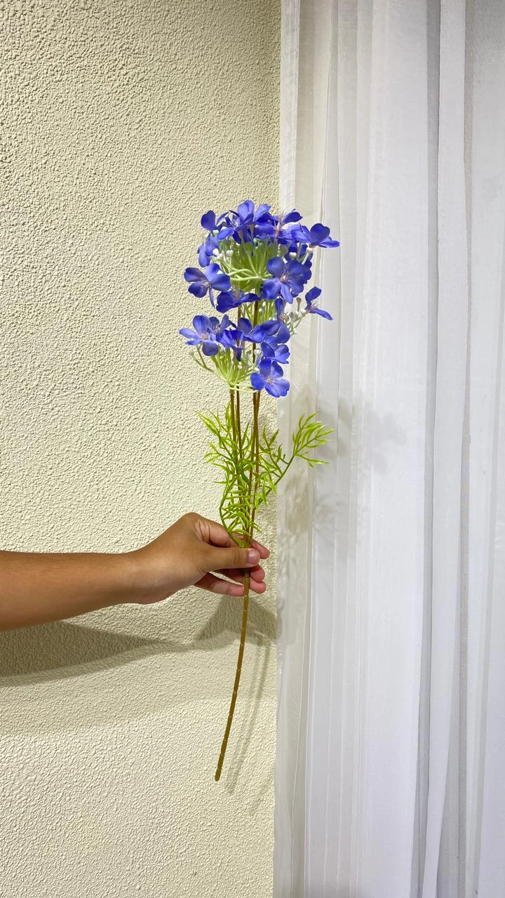 Aster Geranium Biru Tua