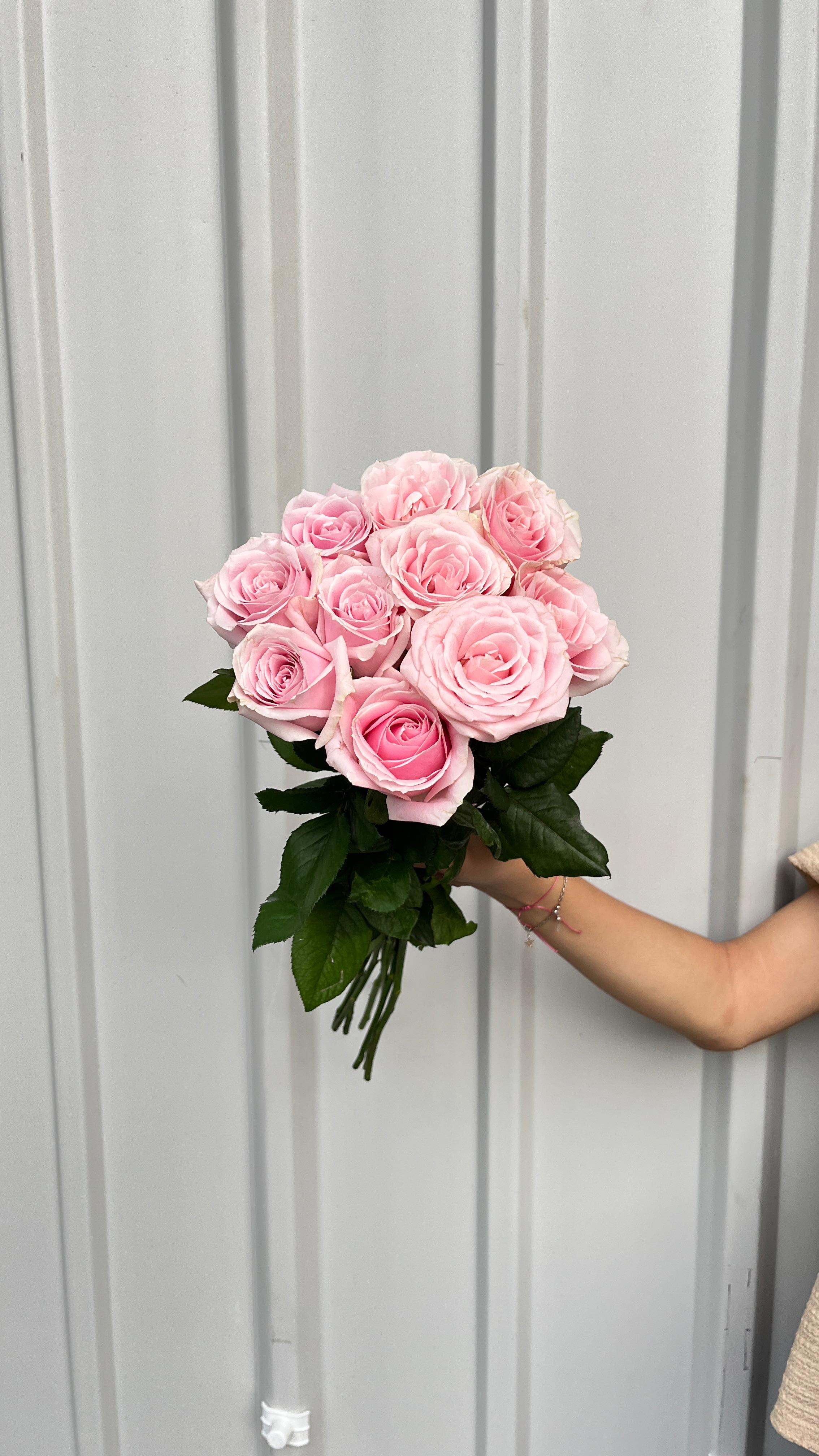 Mawar Pink