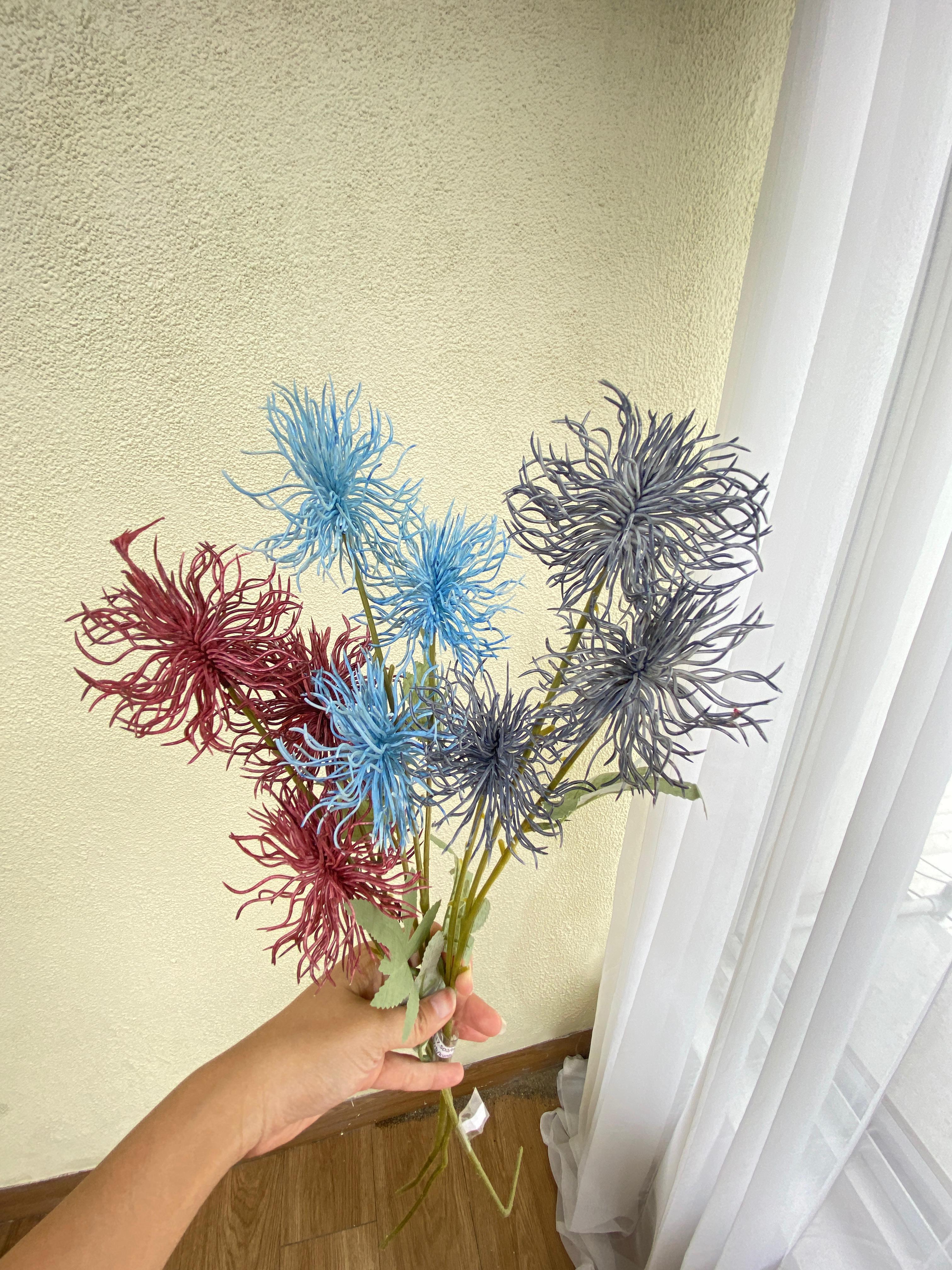 Krisantemum biru,merah,darkblue