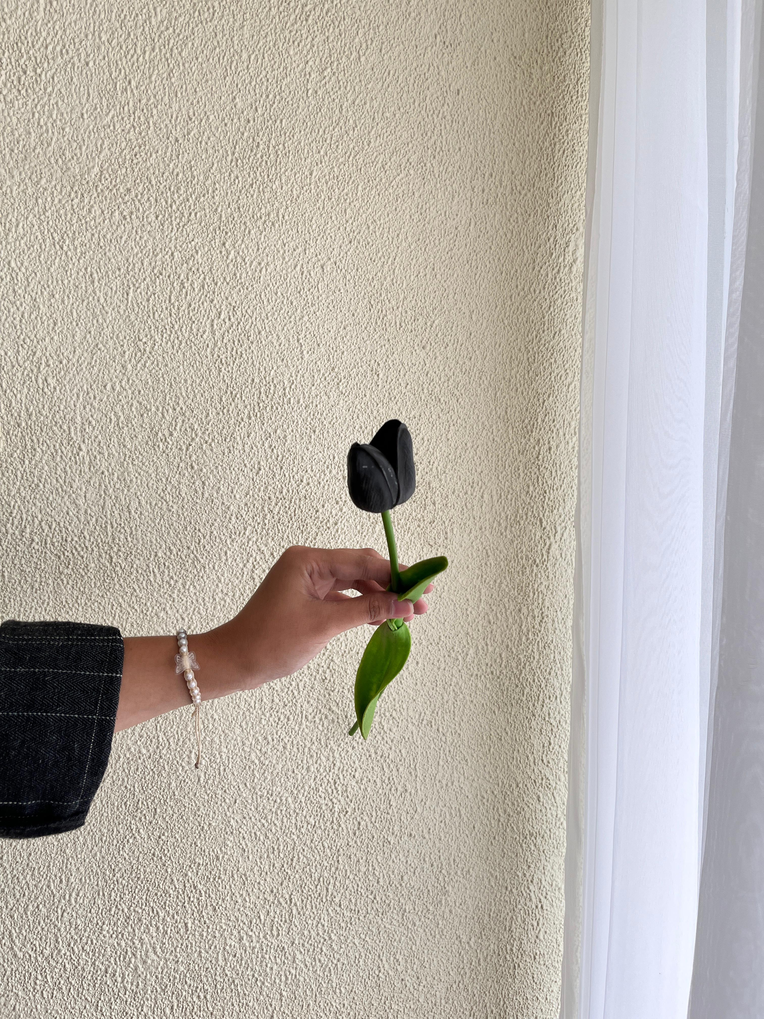 Tulip Hitam