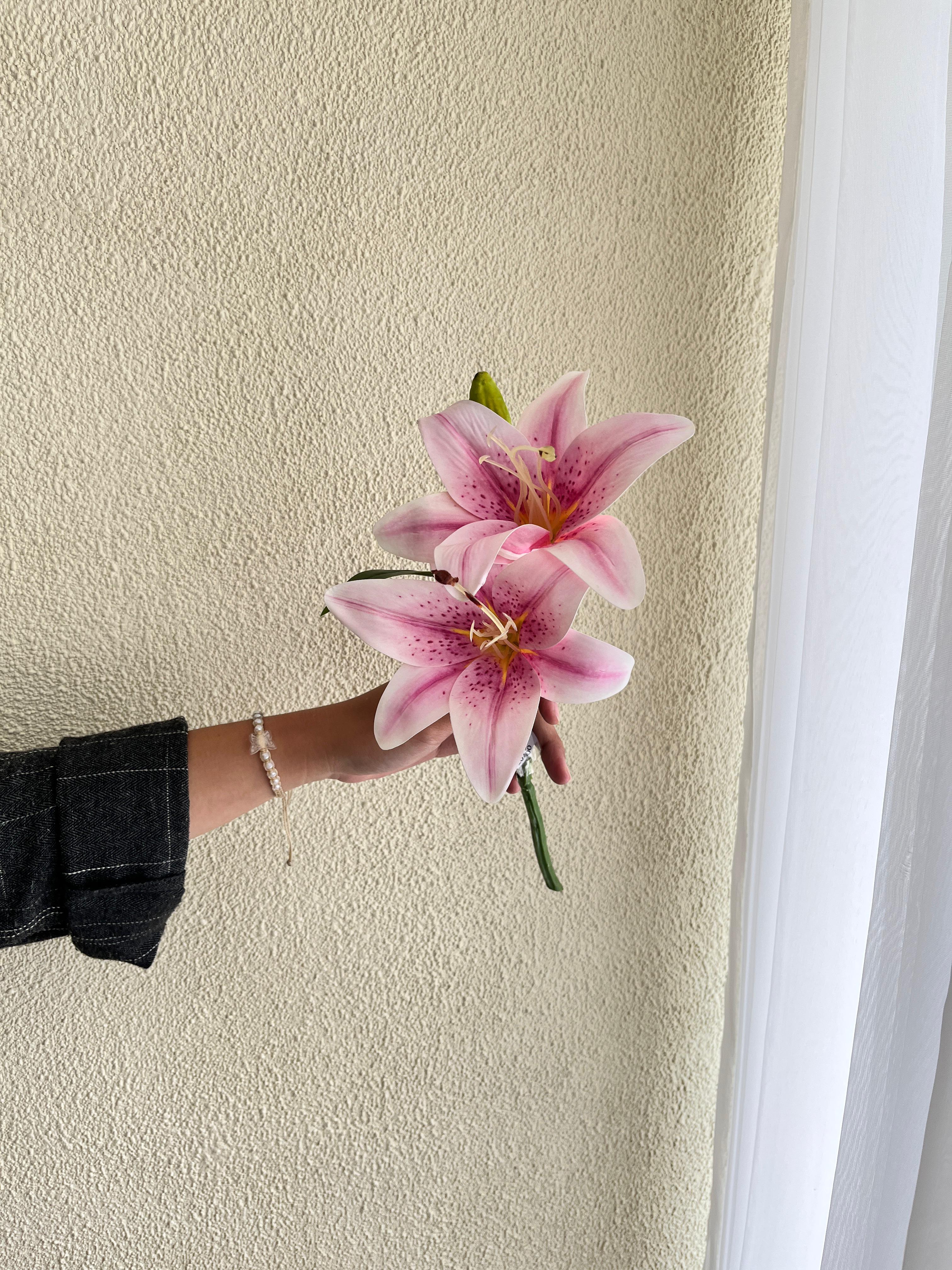 Cassablanca Lily Pink