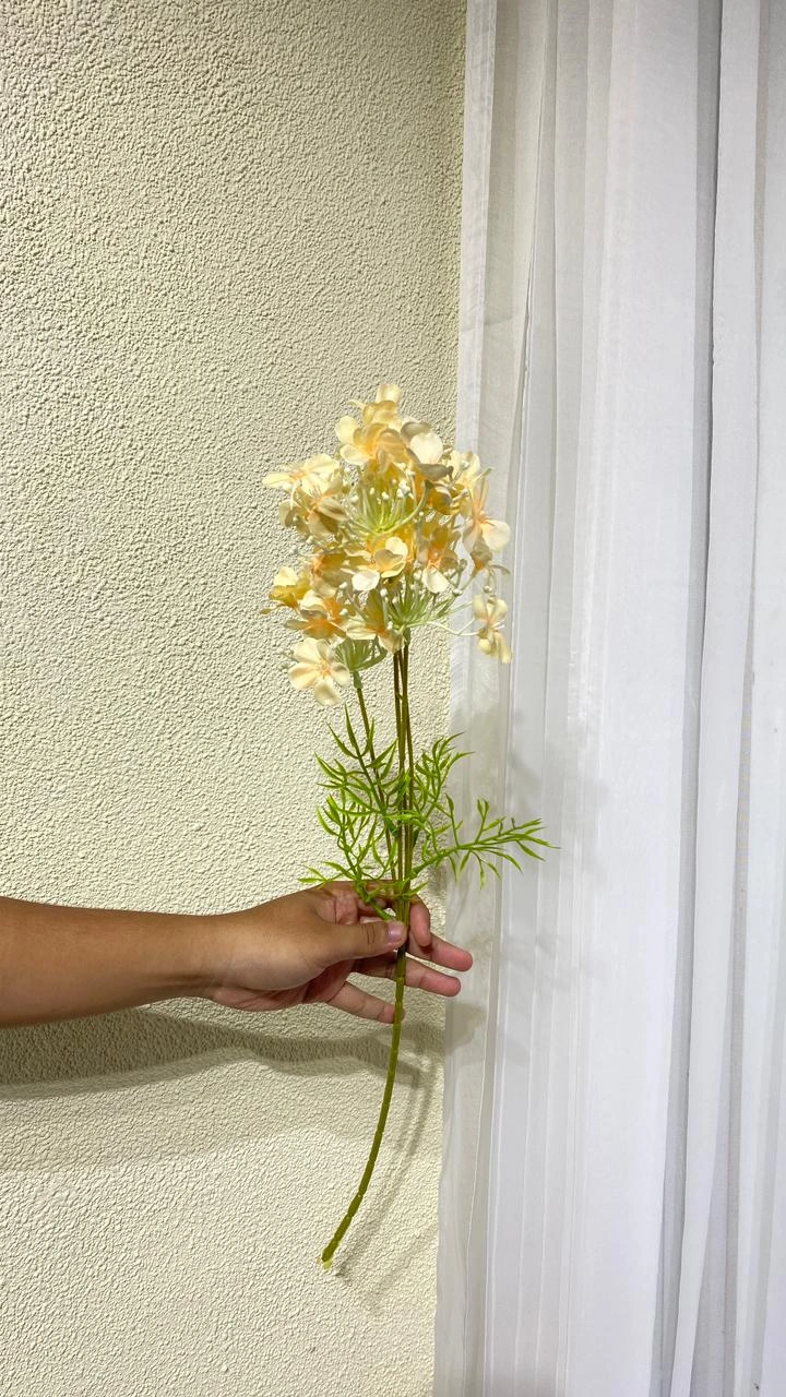 Aster Geranium Kuning