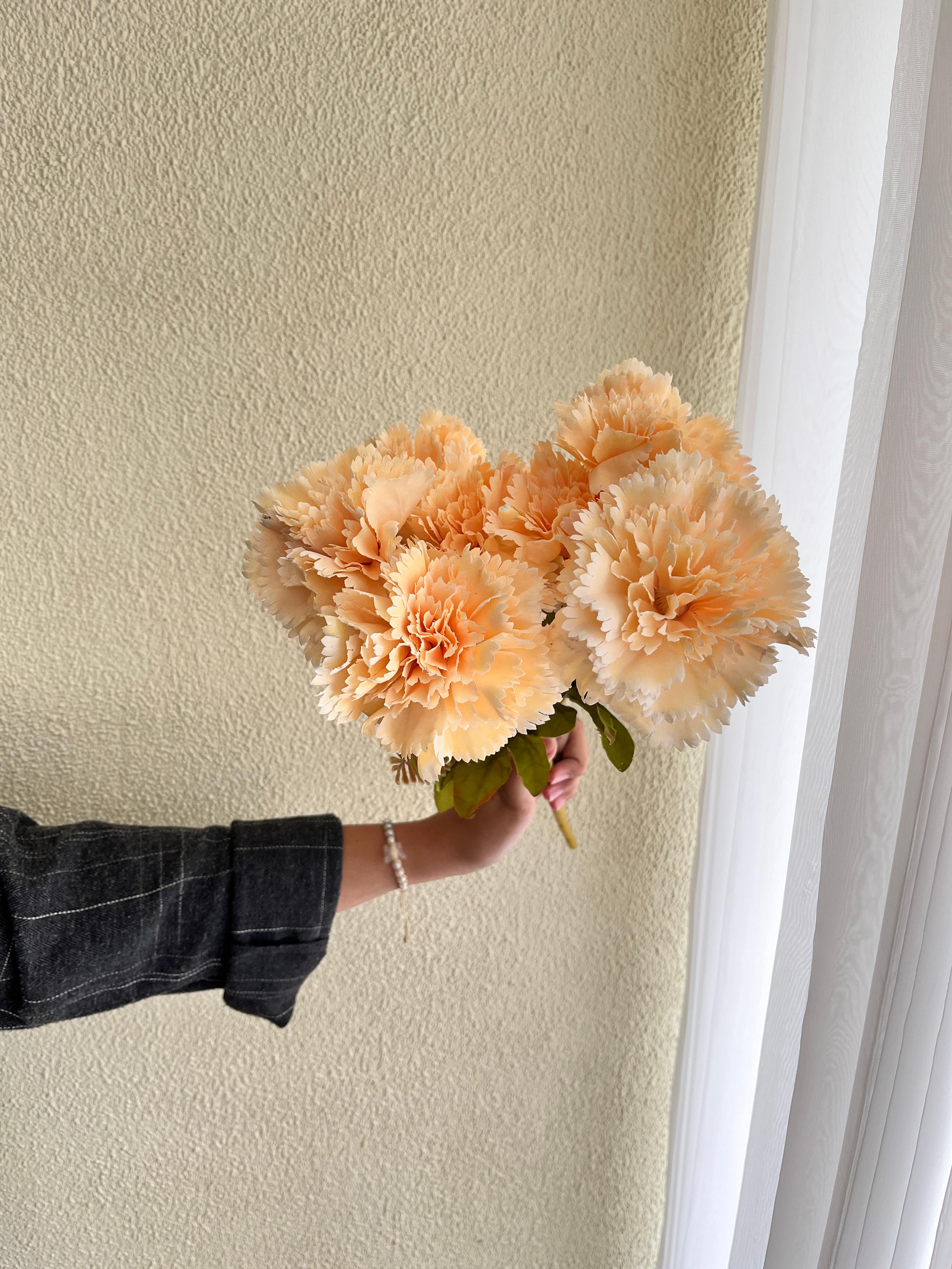 Carnation Peach