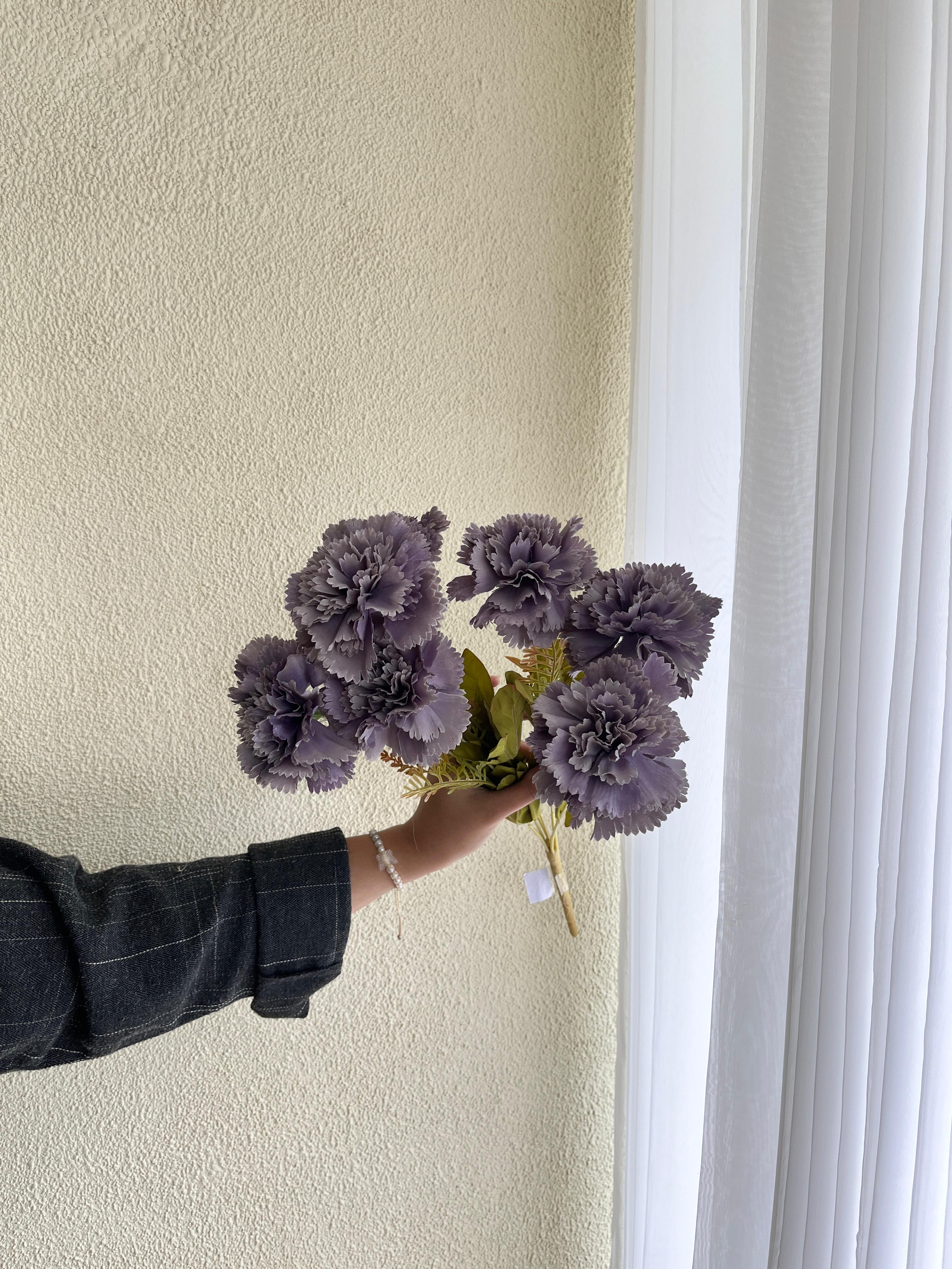 Carnation Ungu
