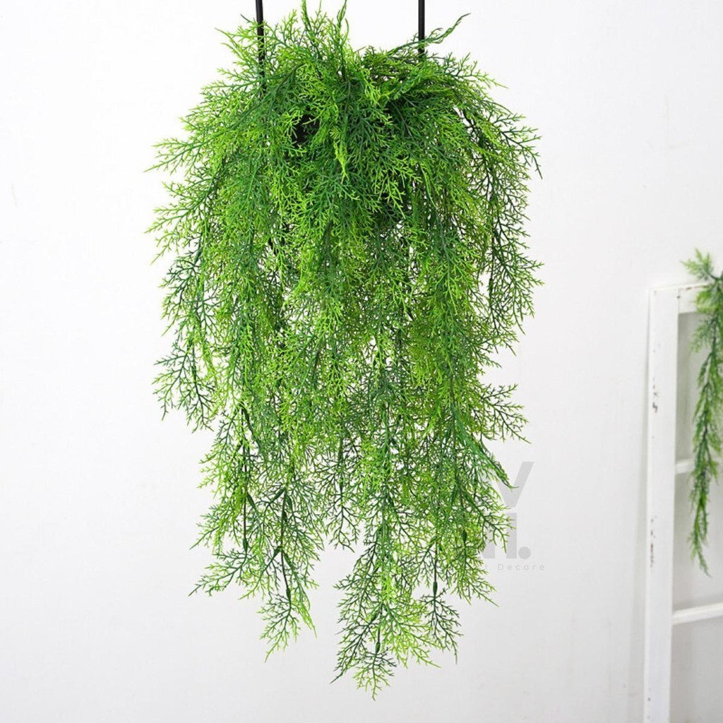 Cemara Juntai