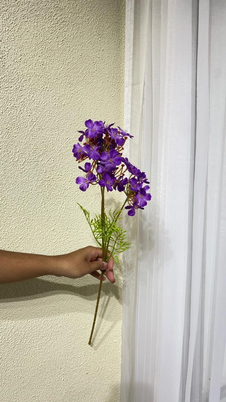 Aster Geranium Ungu Tua