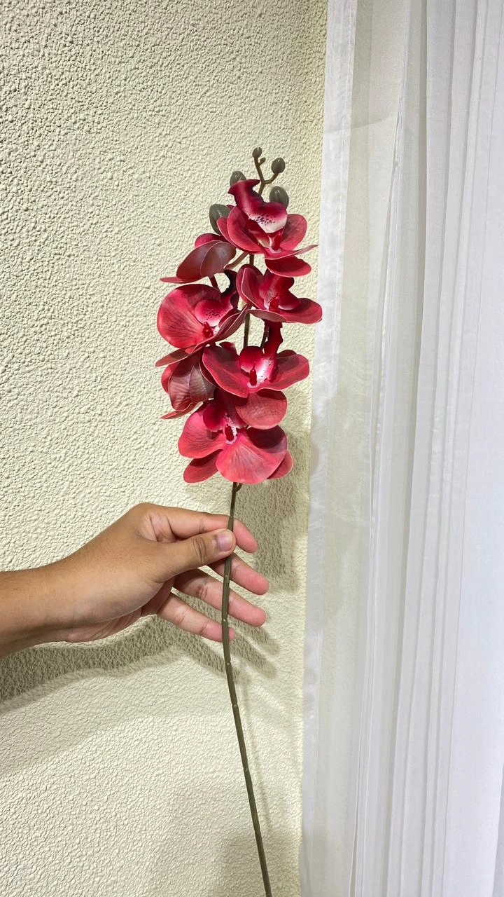 Anggrek Latex 7 Heads Merah