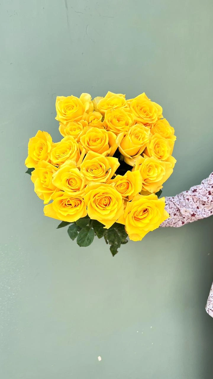 Mawar kuning grade A