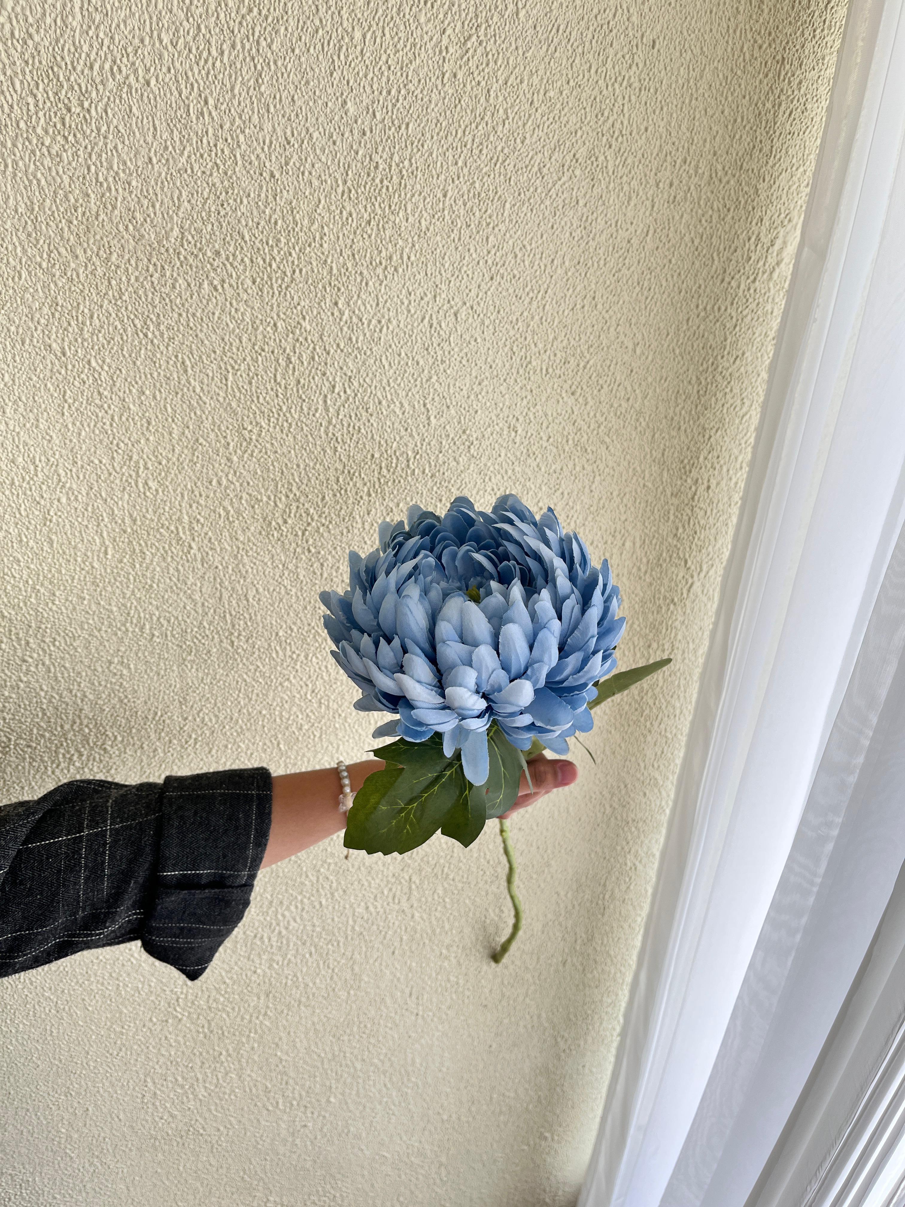 Peoni Biru