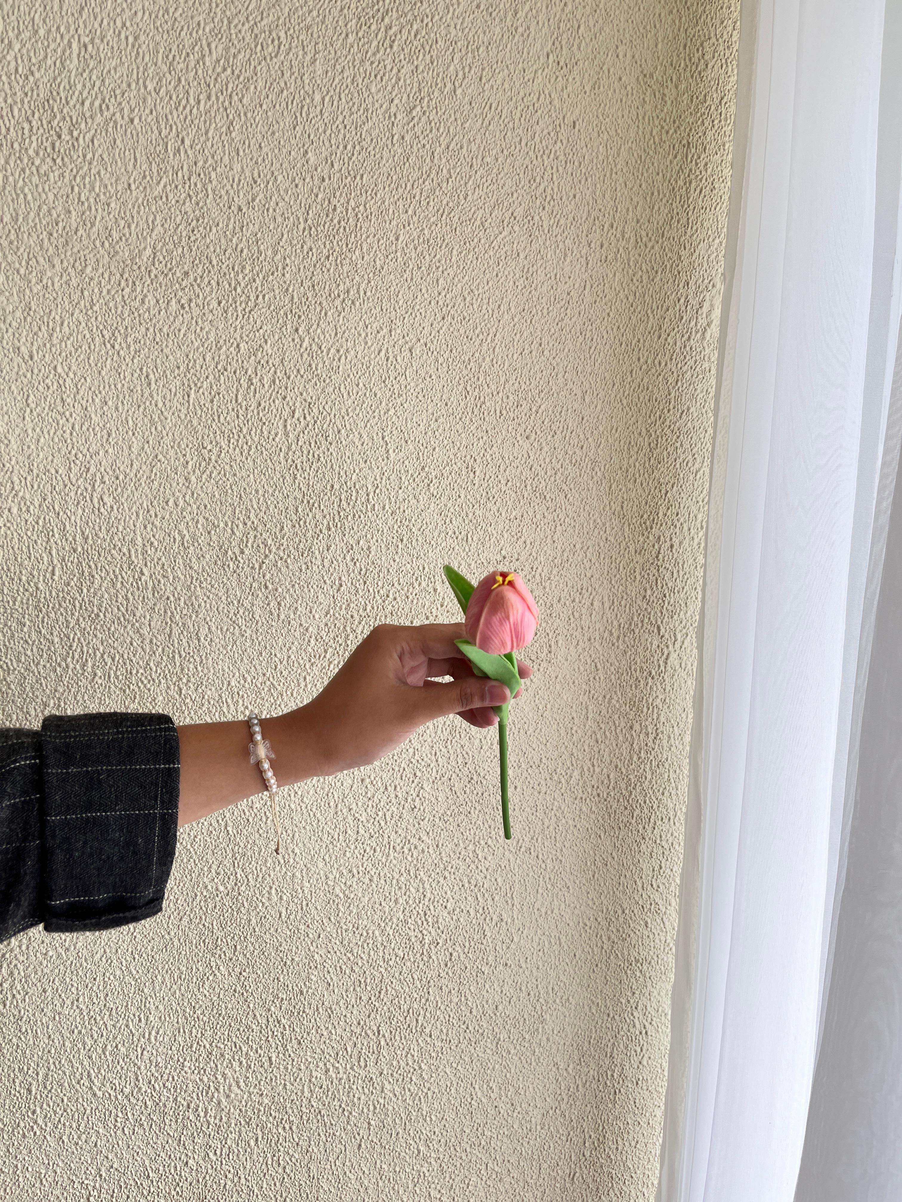 Tulip Pink